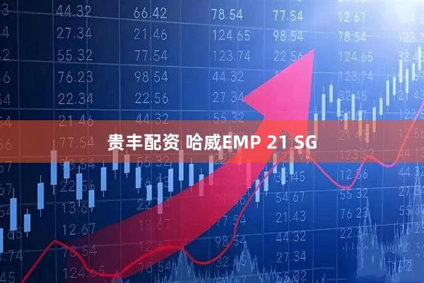 贵丰配资 哈威EMP 21 SG