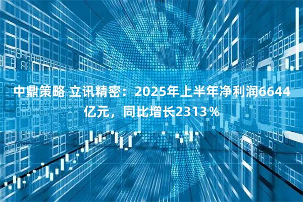 中鼎策略 立讯精密：2025年上半年净利润6644亿元，同比增长2313％